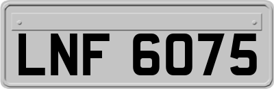 LNF6075