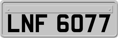 LNF6077