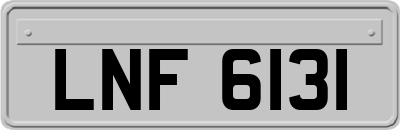 LNF6131