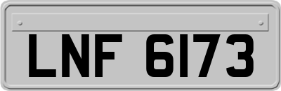 LNF6173