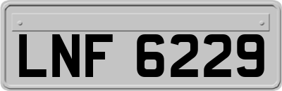 LNF6229