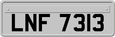 LNF7313