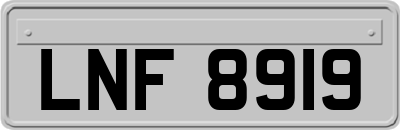 LNF8919