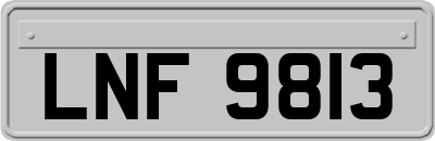 LNF9813