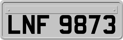 LNF9873