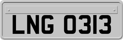 LNG0313