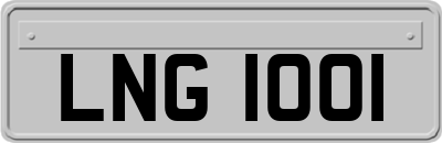 LNG1001
