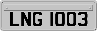 LNG1003