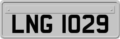 LNG1029