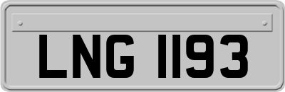 LNG1193