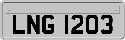LNG1203