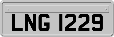 LNG1229