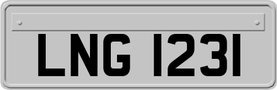 LNG1231