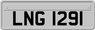 LNG1291