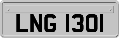 LNG1301