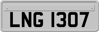 LNG1307