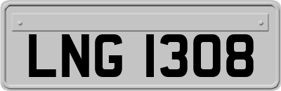 LNG1308