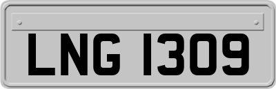 LNG1309