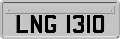LNG1310