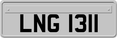 LNG1311