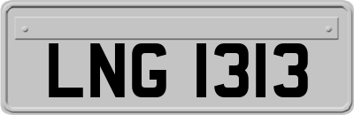 LNG1313