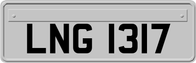 LNG1317