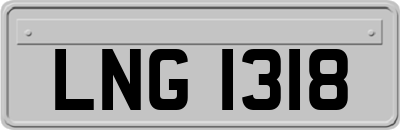 LNG1318