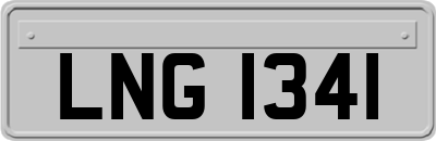 LNG1341