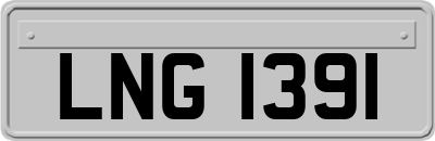 LNG1391