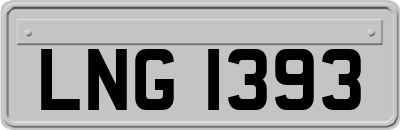 LNG1393
