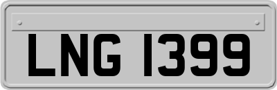 LNG1399
