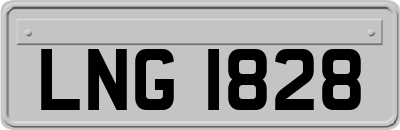 LNG1828