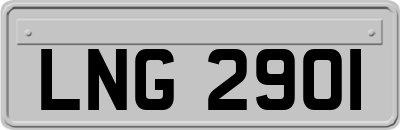 LNG2901