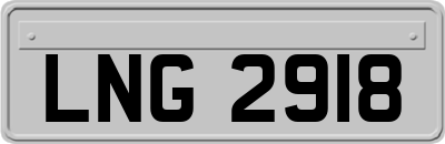 LNG2918