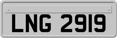 LNG2919