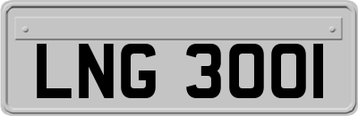 LNG3001