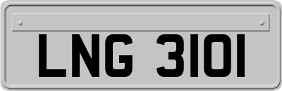 LNG3101