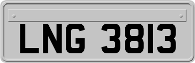 LNG3813