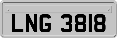 LNG3818