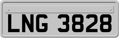LNG3828
