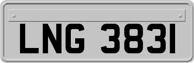 LNG3831