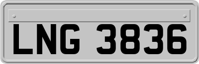 LNG3836