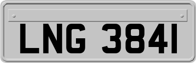 LNG3841