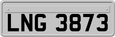 LNG3873