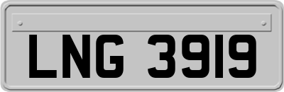 LNG3919