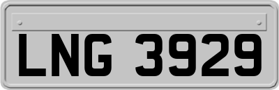 LNG3929