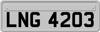 LNG4203