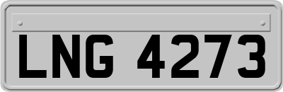 LNG4273