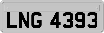 LNG4393