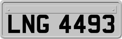 LNG4493